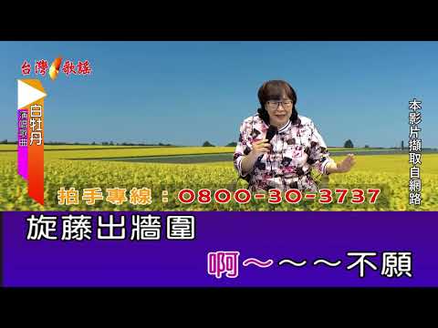 白牡丹