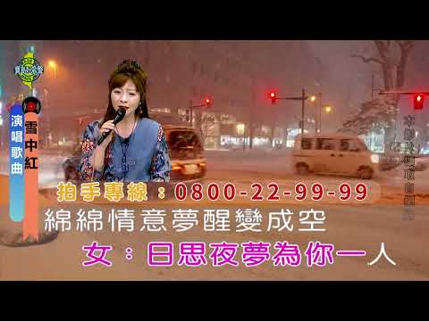 雪中紅
