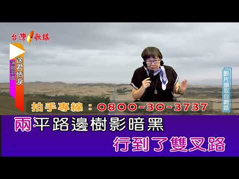 送君情淚