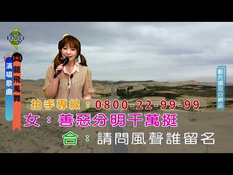 龍飛鳳舞