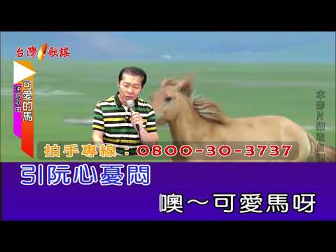 可愛的馬