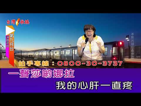 星君 經典台語歌曲