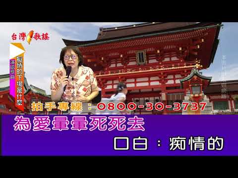 痴情的下場是什麼