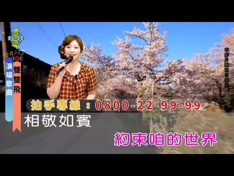 雙雙飛