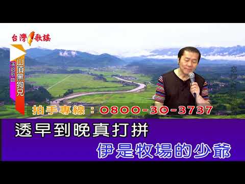山頂黑狗兄